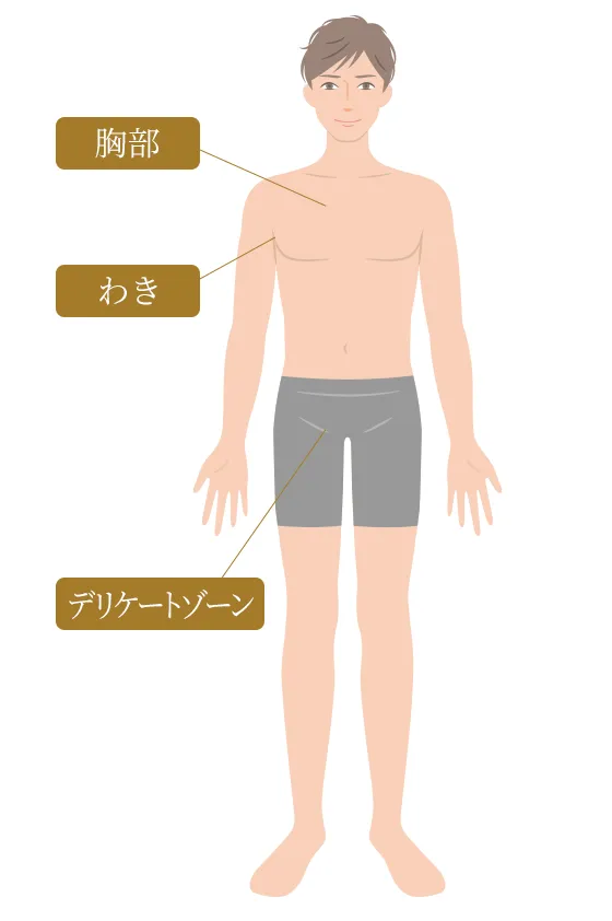 エクリン汗腺がある部位
