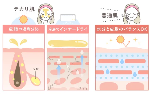 水分と皮脂のバランスのイラスト